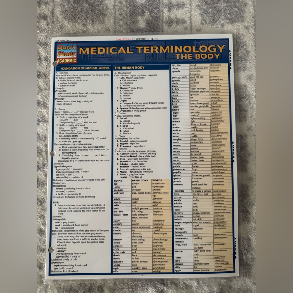 BarCharts Quick Study - Medical Terminology (the body)